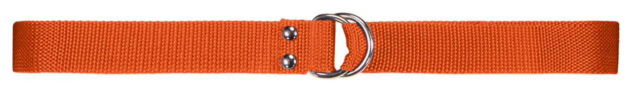 1-INCH FOOTBALL BELT