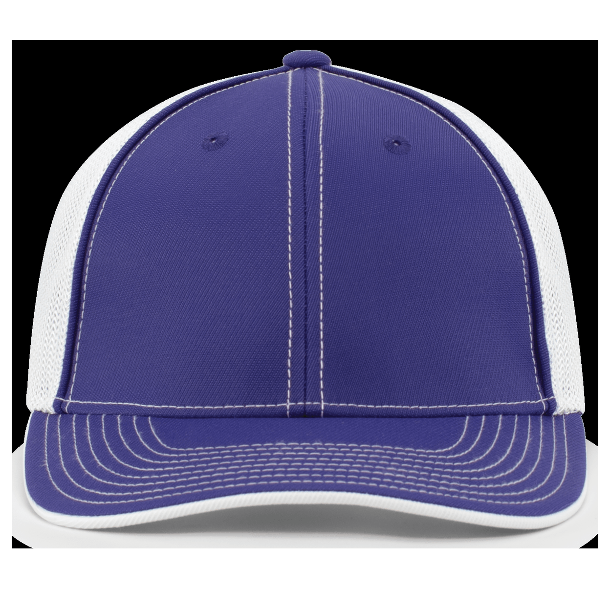 PURPLE/WHITE