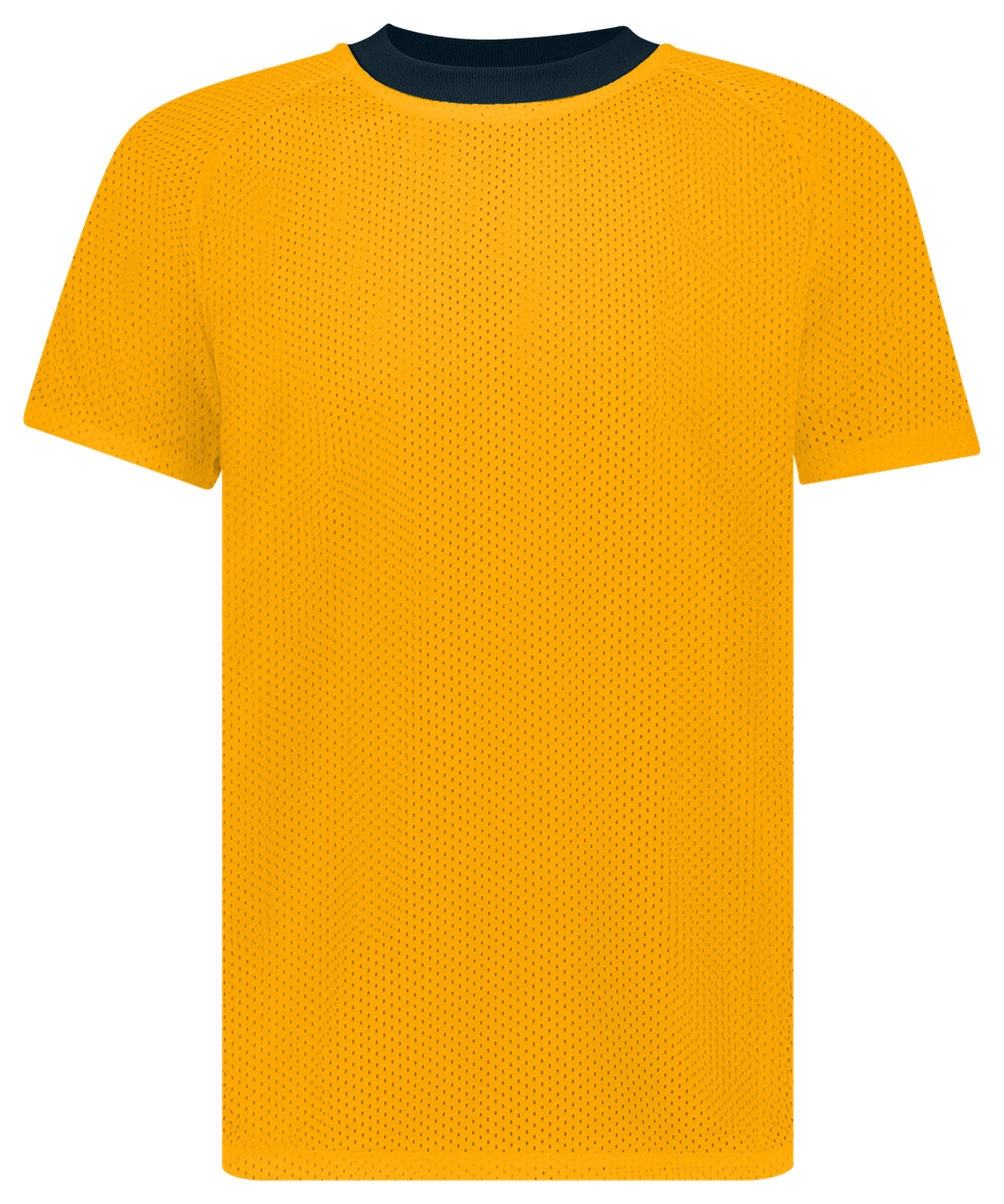 NAVY/GOLD (BA)