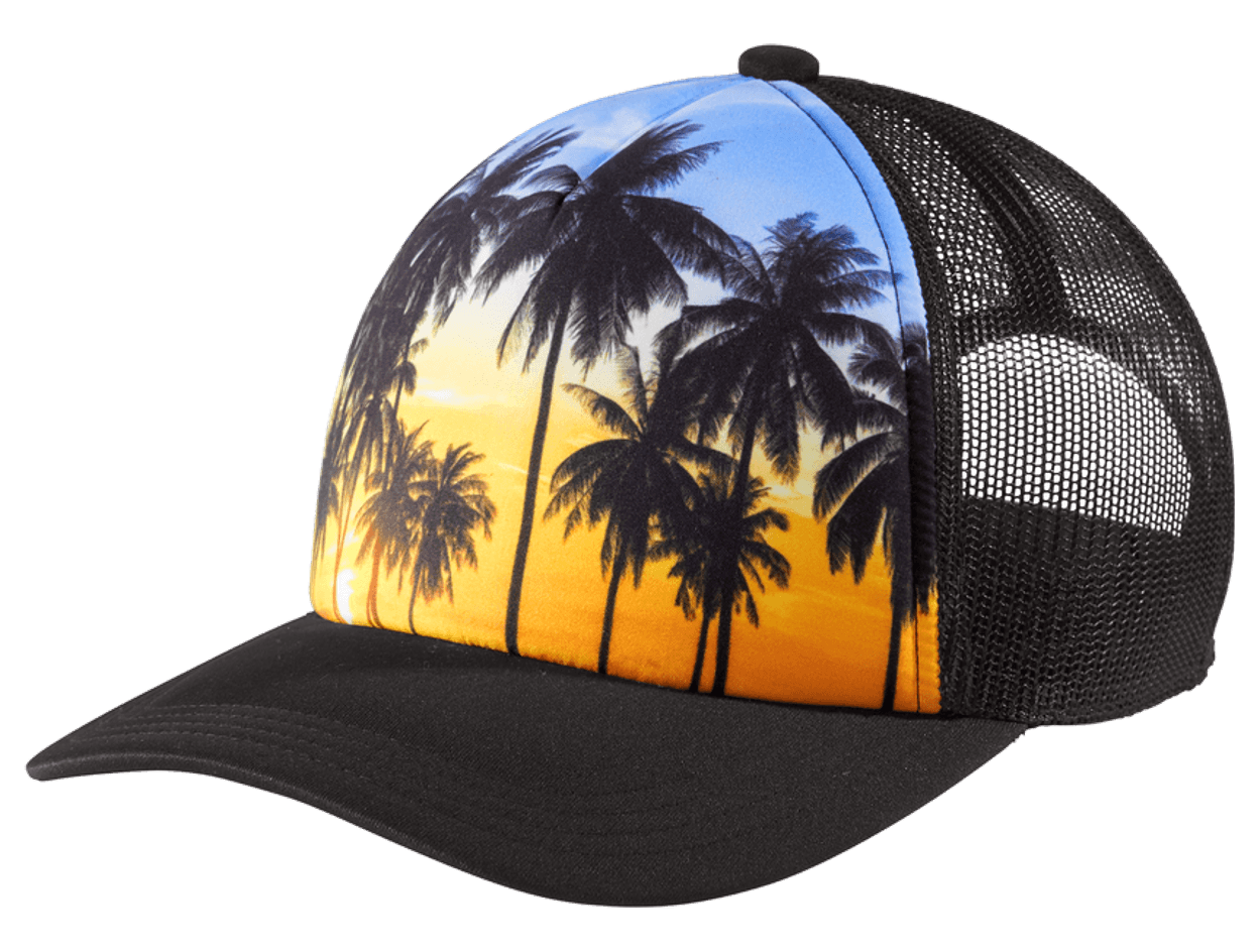 Palm Trees